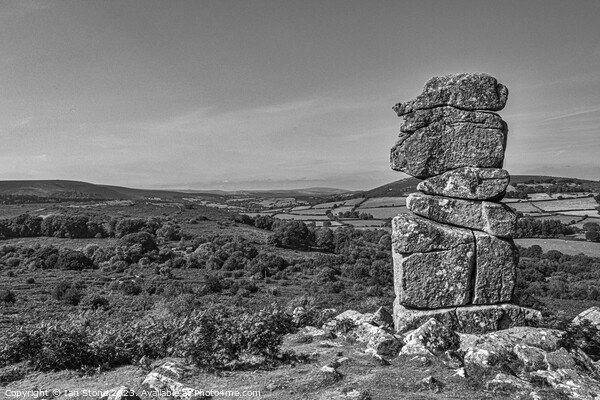 Bowerman’s Nose, Dartmoor. Picture Board by Ian Stone