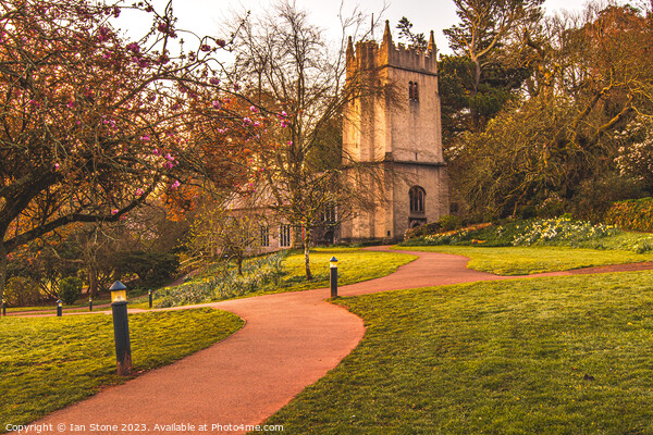 Cockington Church at Springtime  Picture Board by Ian Stone