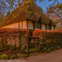 Buy canvas prints of Enchanting Chocolate Box Cottage by Ian Stone