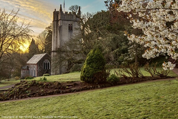 Serene Springtime at Cockington Church Picture Board by Ian Stone
