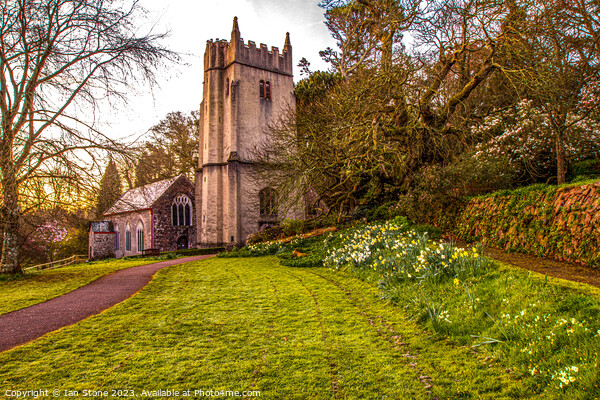 Springtime at Cockington Church  Picture Board by Ian Stone