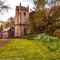 Buy canvas prints of Springtime at Cockington Church  by Ian Stone