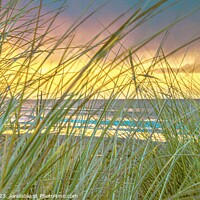 Buy canvas prints of Through the sand dunes  by Ian Stone