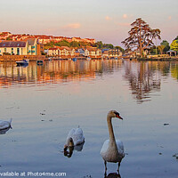 Buy canvas prints of Just swanning around ! by Ian Stone