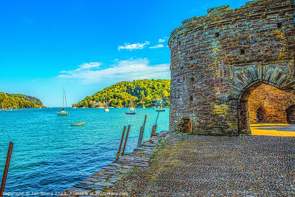 Bayards Fort, Dartmouth  Picture Board by Ian Stone