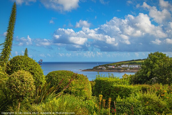Portscatho in Cornwall  Picture Board by Ian Stone