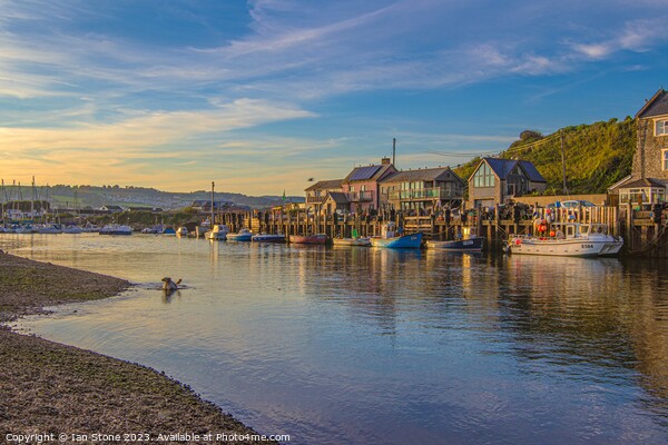Seaton Harbour, Devon  Picture Board by Ian Stone