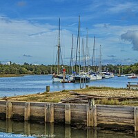 Buy canvas prints of Bucklers Hard, Hampshire  by Ian Stone