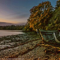 Buy canvas prints of Autumn by the River Dart. by Ian Stone