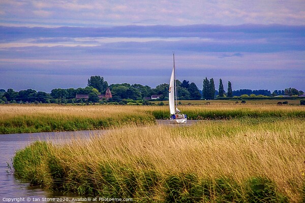 Serenity on the Norfolk Broads Picture Board by Ian Stone
