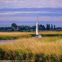 Buy canvas prints of Serenity on the Norfolk Broads by Ian Stone