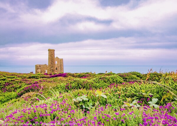 Memories of Wheal Coates  Picture Board by Ian Stone