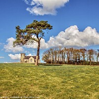 Buy canvas prints of Lonesome pine  by Ian Stone