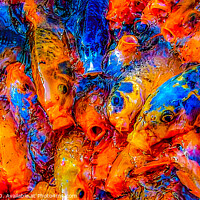 Buy canvas prints of Fish Feeding frenzy  by Ian Stone