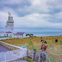 Buy canvas prints of Saint Catherine’s Lighthouse  by Ian Stone