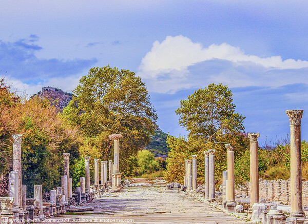 Ephesus  Picture Board by Ian Stone