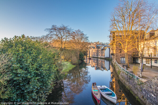 River Dart at Totnes  Picture Board by Ian Stone