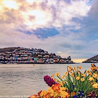 Buy canvas prints of A view from Dartmouth  by Ian Stone