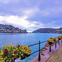 Buy canvas prints of Spring in Dartmouth  by Ian Stone