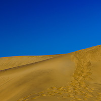 Buy canvas prints of Dune 7 Namibia by Rosaline Napier