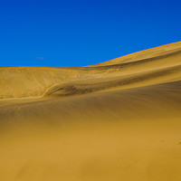Buy canvas prints of Dune 7 golden sands Namibia by Rosaline Napier