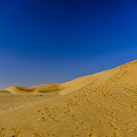 Buy canvas prints of Dune 7 footprints Namibia by Rosaline Napier