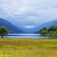 Buy canvas prints of Loch Voil reflections  by Rosaline Napier