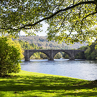Buy canvas prints of Thomas Telford Bridge, Dunkeld, Scotland by Rosaline Napier