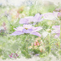 Buy canvas prints of Summer wildflowers landscape by Rosaline Napier