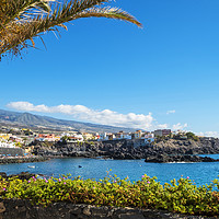 Buy canvas prints of Landscape view of Alcala Tenerife by Rosaline Napier