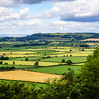 Buy canvas prints of North Yorkshire countryside landscape by Rosaline Napier