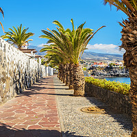 Buy canvas prints of Sunny promenade in Alcala Tenerife by Rosaline Napier