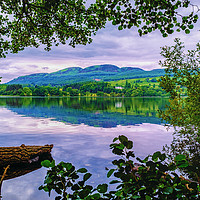 Buy canvas prints of Lake of Menteith by Rosaline Napier