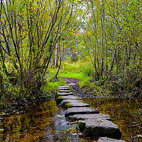 Buy canvas prints of Newtonmore stepping stones by Rosaline Napier