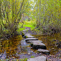 Buy canvas prints of Stepping stones Newtonmore by Rosaline Napier