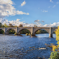 Buy canvas prints of Autumn glow at Dunkeld by Rosaline Napier