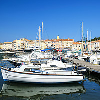 Buy canvas prints of Saint Tropez marina by Rosaline Napier