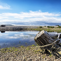 Buy canvas prints of Spey Bay Driftwood by Rosaline Napier