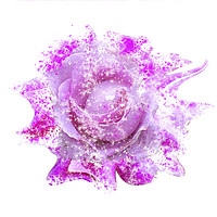 Buy canvas prints of Pink rose heavy paint splatter effect by Rosaline Napier