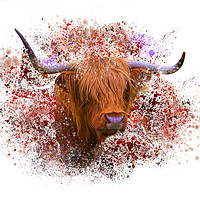 Buy canvas prints of Highland cow with paint splatter by Rosaline Napier