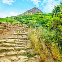Buy canvas prints of Climbing Roseberry Topping North Yorkshire by Rosaline Napier