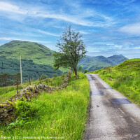 Buy canvas prints of Balquhidder country road by Rosaline Napier
