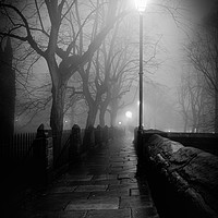 Buy canvas prints of The Misty Walk - Black and White by Mike Evans