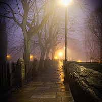 Buy canvas prints of The Misty Walk by Mike Evans