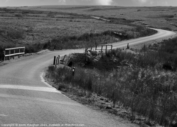 The Long Winding Road To Tan Hill (Greyscale) Picture Board by Kevin Maughan
