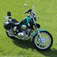 Buy canvas prints of Yamaha Virago Motorbike by Kevin Maughan
