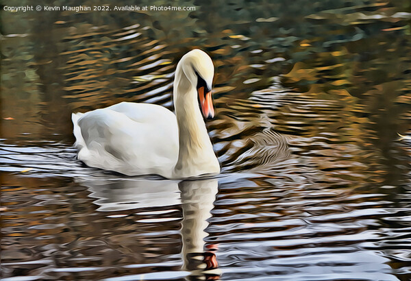 Swan On The River Wansbeck (Digital Art Image) Picture Board by Kevin Maughan