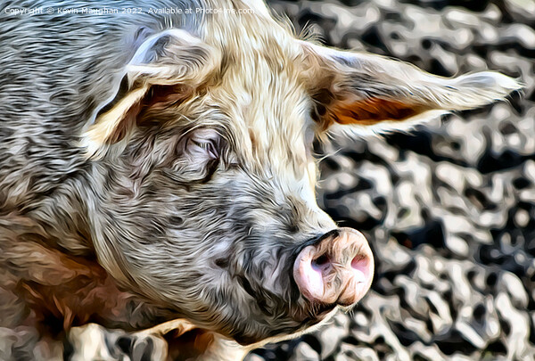 A Close Up Of A Pig (Digital Art Version) Picture Board by Kevin Maughan