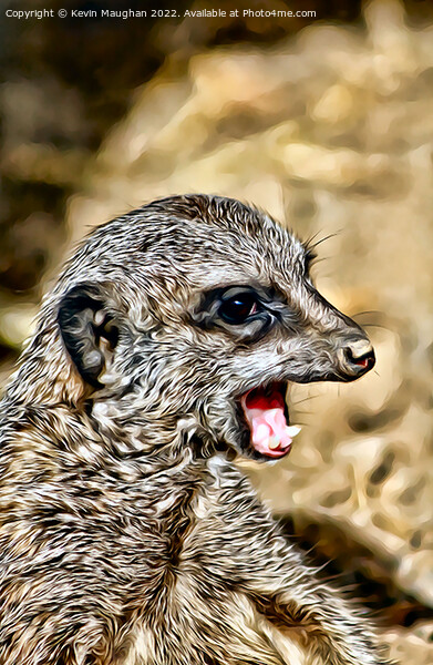The Meerkat (Digital Art Version) Picture Board by Kevin Maughan