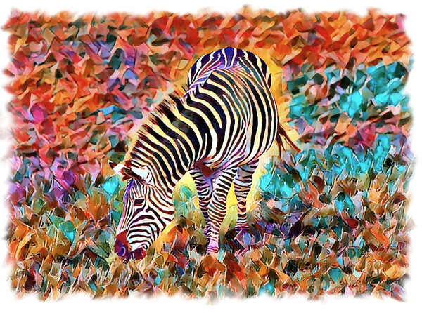 Abstract Zebra (Digital Art Version) Picture Board by Kevin Maughan